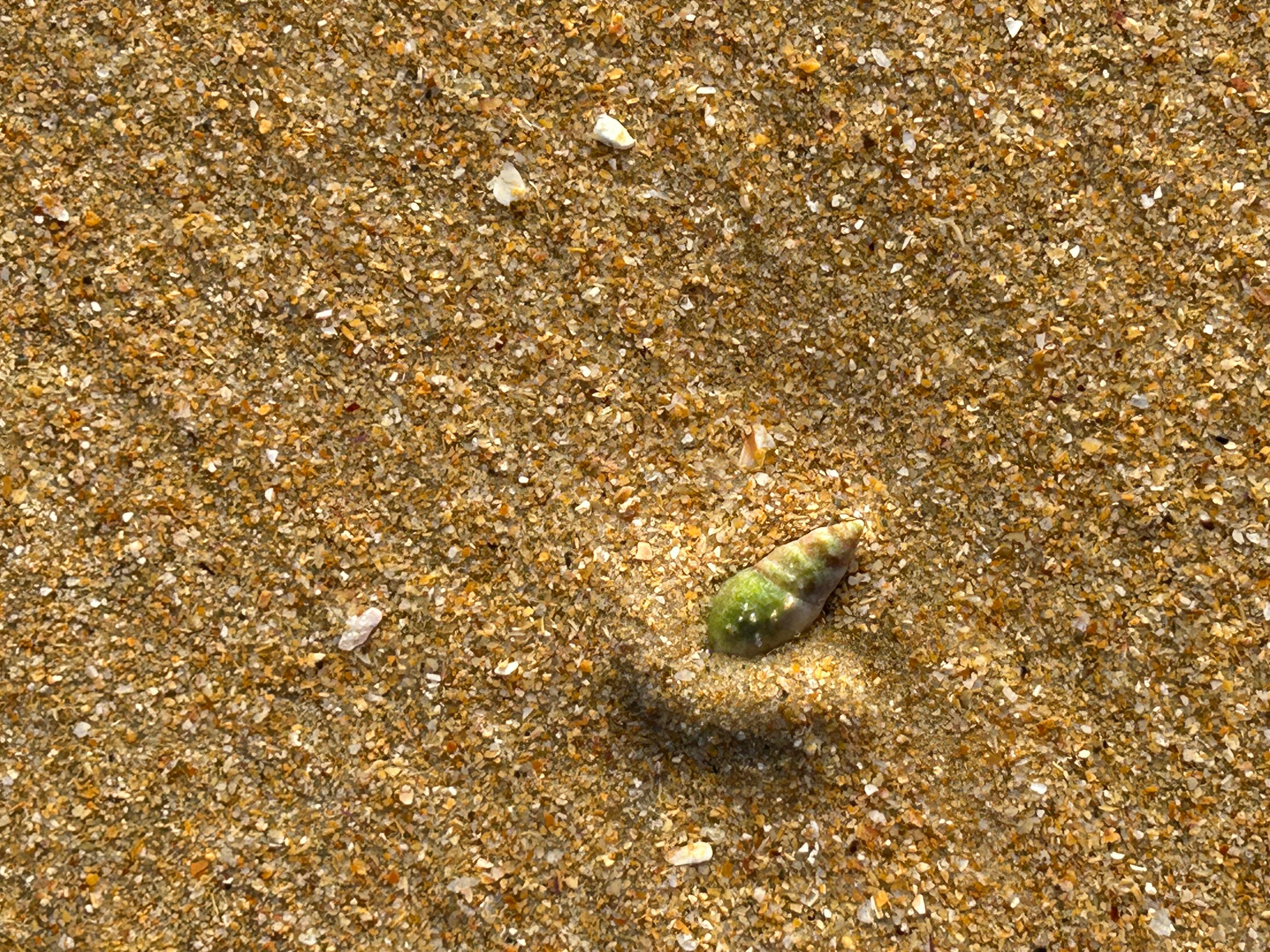 Brenton Haven Beachfront Resort-官方