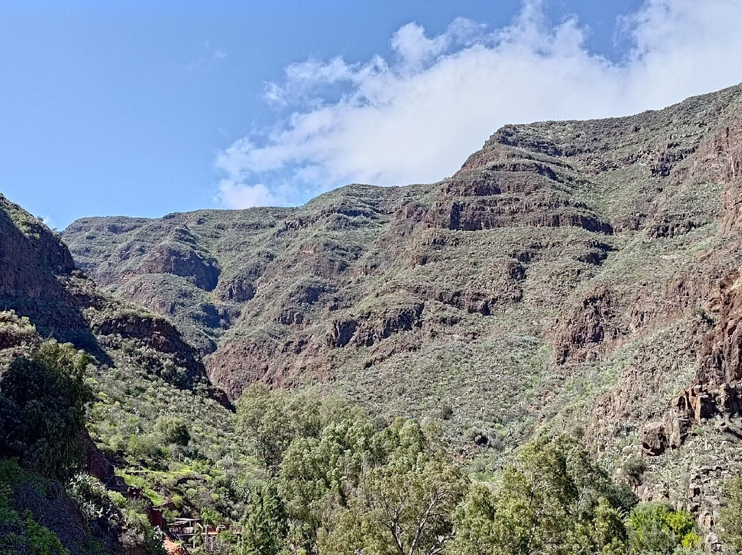 Barranco de Guayadeque景点图片