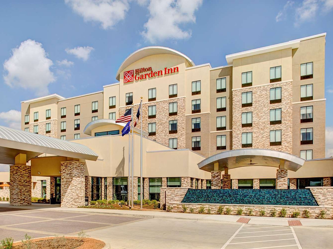 阿灵顿酒店住宿-Hilton Garden Inn Dallas/Arlington South