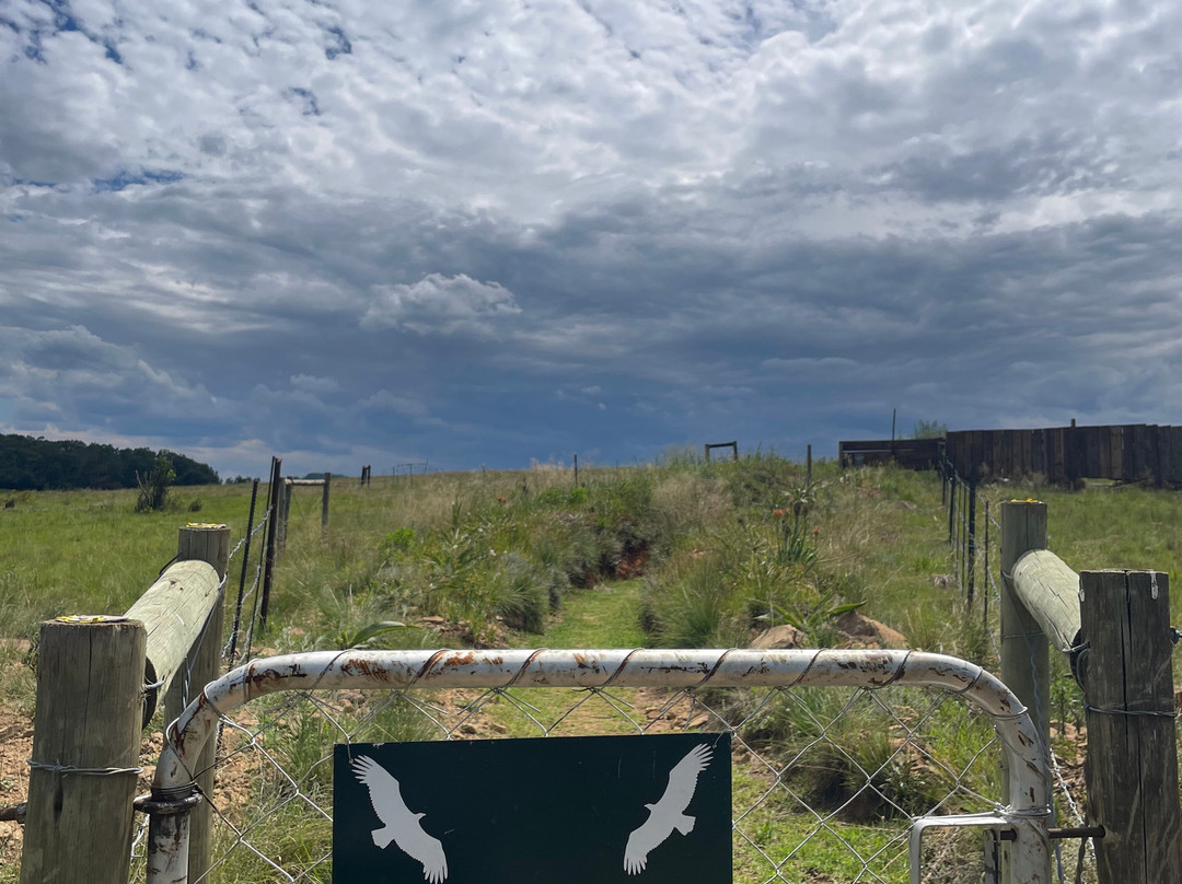 Mzimkulu Vulture Hide-安德堡必去景点