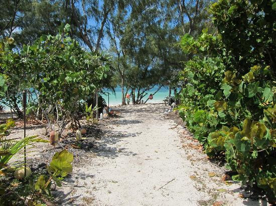 Flamingo Bay Club主图