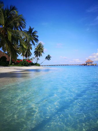 Reethi Faru Resort主图