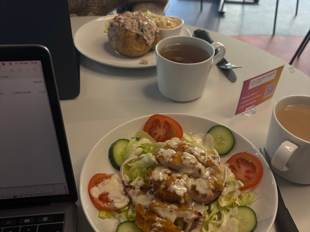 Fusion Energy Cafe