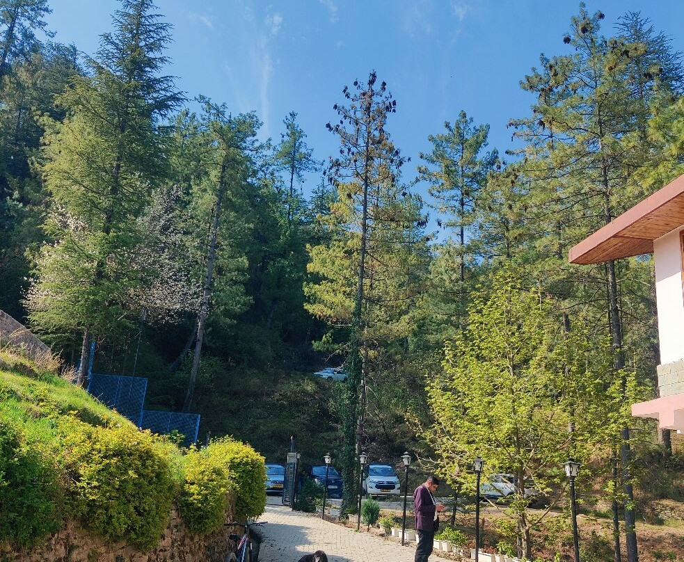 Wood Vista Cottages主图