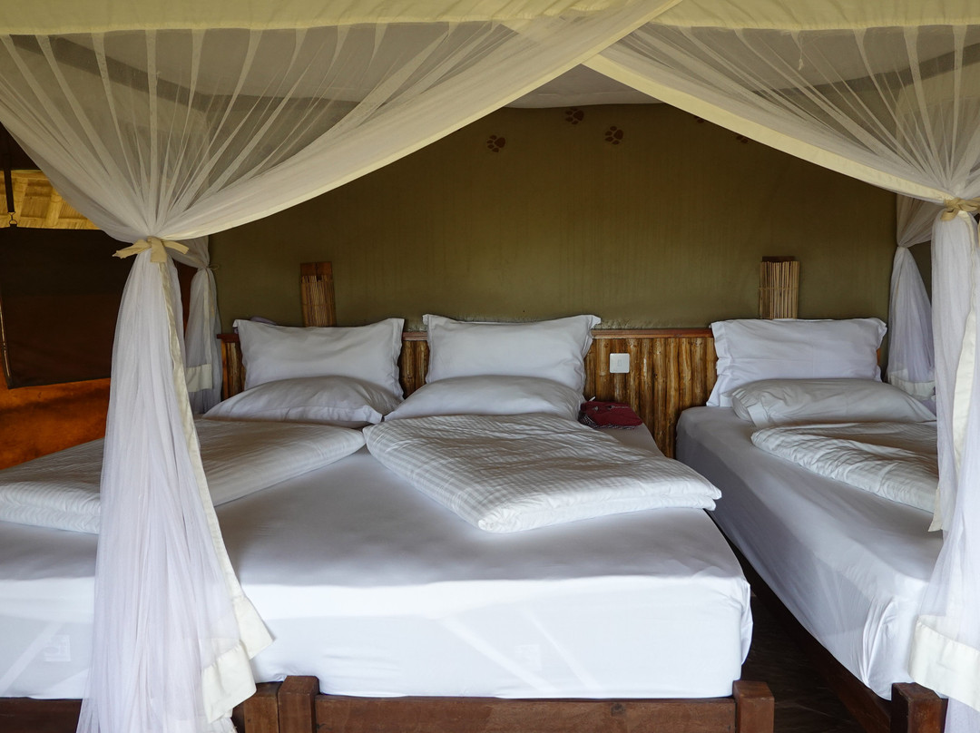 Severin Safari Camp主图