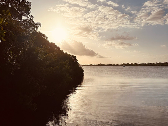 Splash Sports Catamaran Cruises-斯卡伯勒必去景点