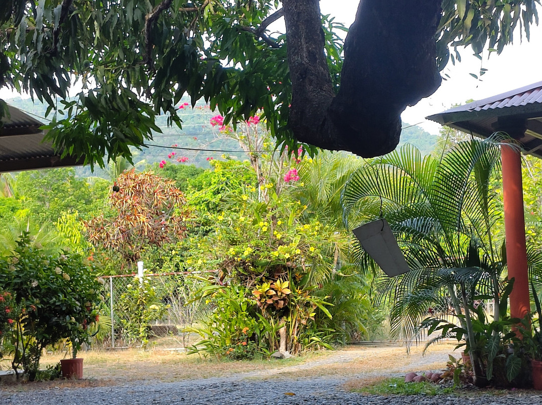 Hospedaje Yaquelin