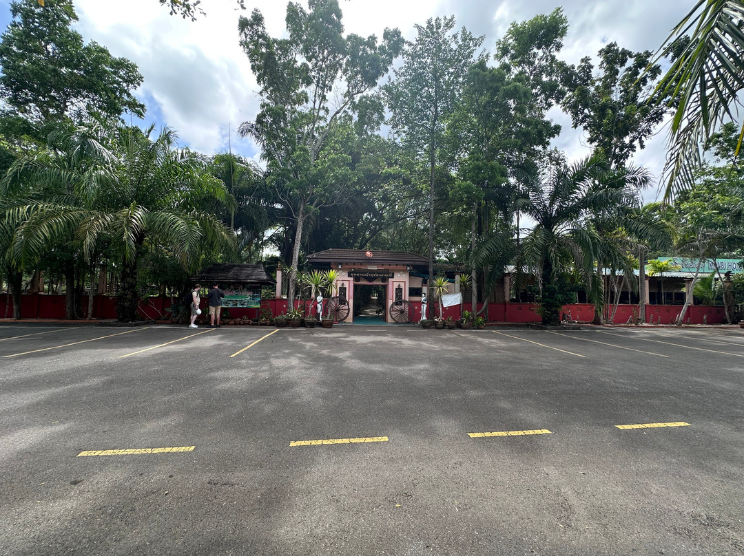 Saline Hot Spring Khlong Thom景点图片