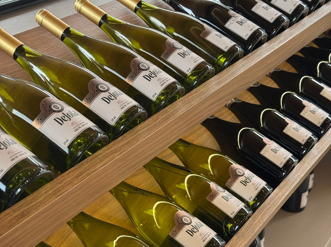 Vinícola Dejota-Pardinho必去景点