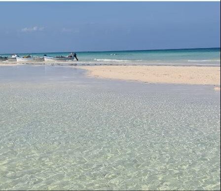 Robinson Djerba Bahiya-泳池