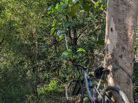 Forbes MTB-Kenmore必去景点