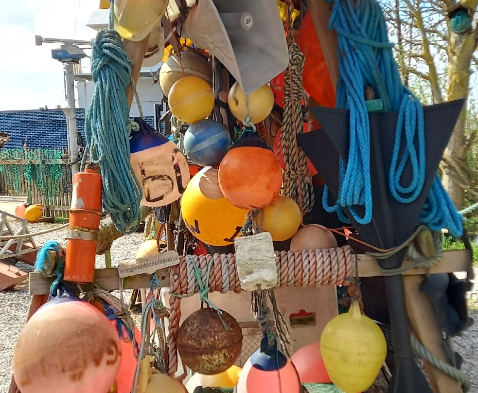 Shipwreck and Beachcombing Museum Flora景点图片