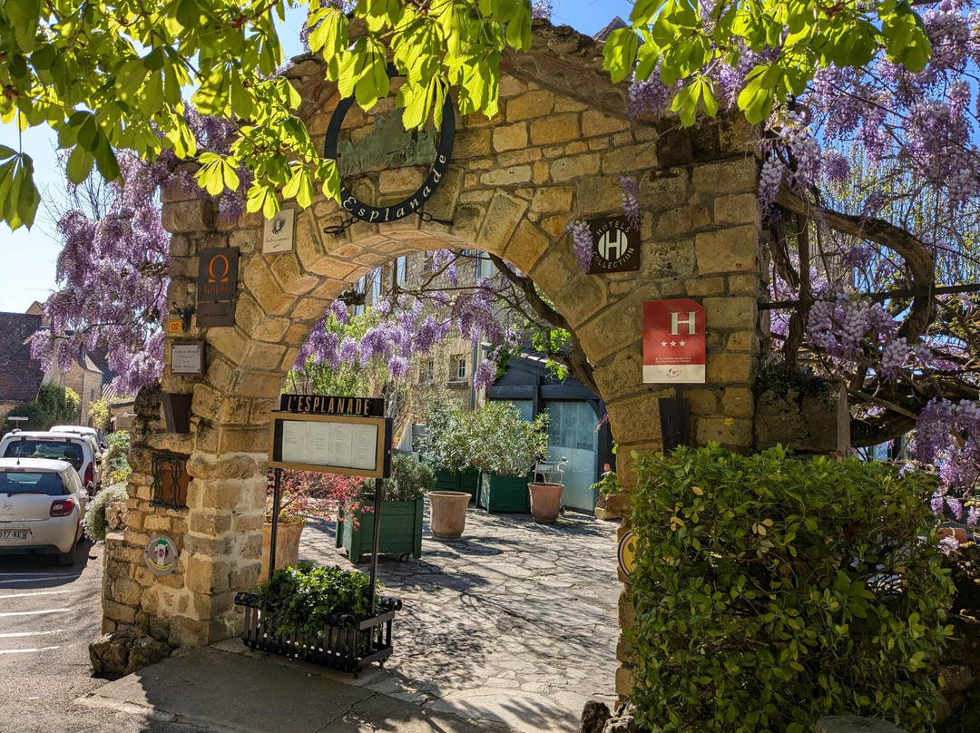 Hotel l'Esplanade主图