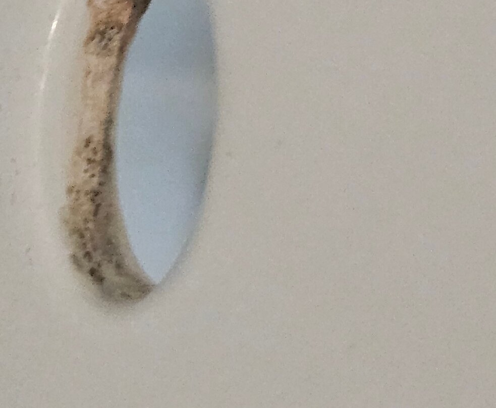 华盛顿学院公园假日酒店主图