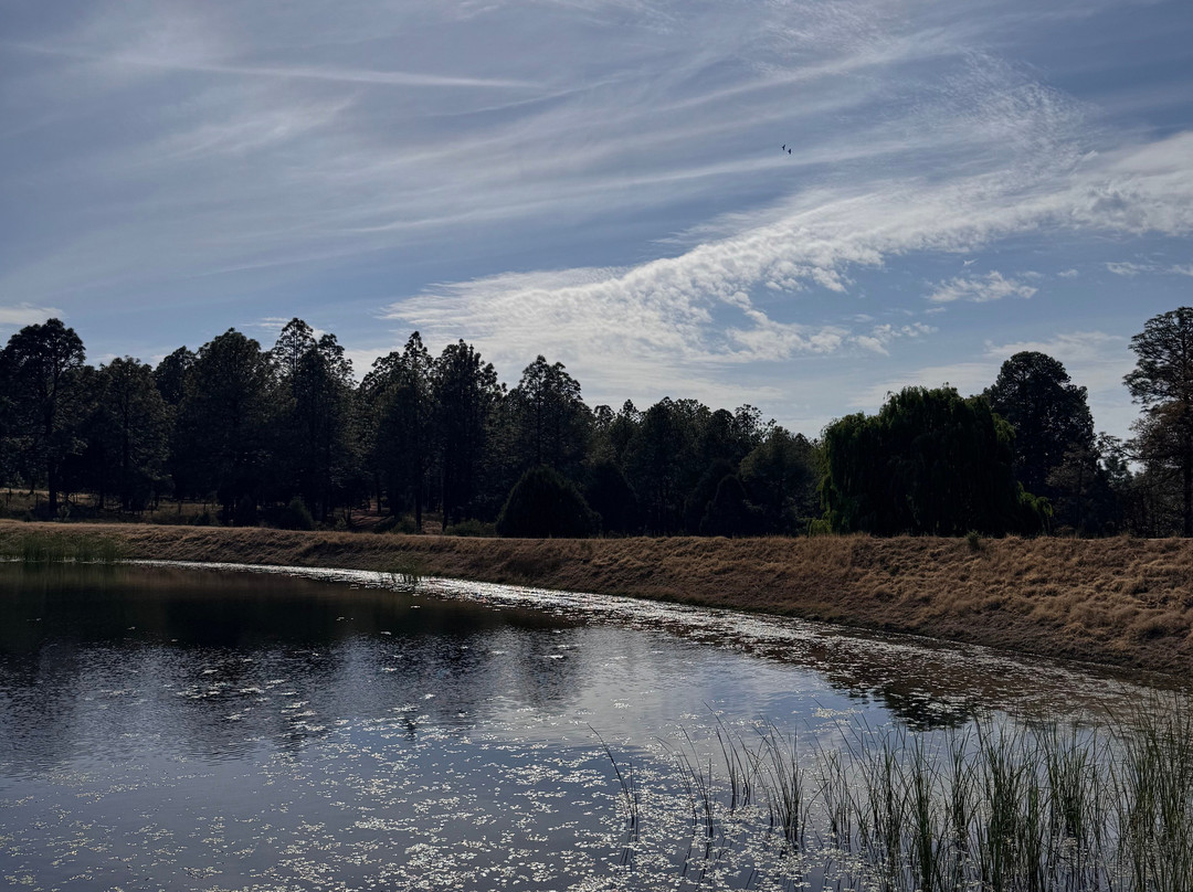 Molinillos Mountain Resort主图