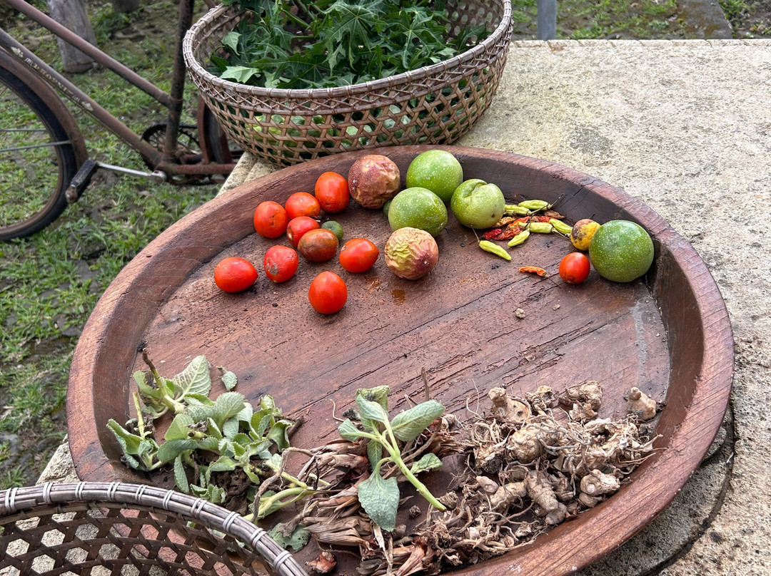 Maha Gangga Valley-阿巴比必去景点