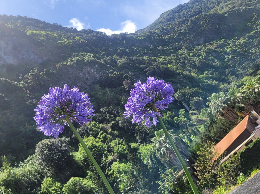 My Guide Madeira-沙尔必去景点