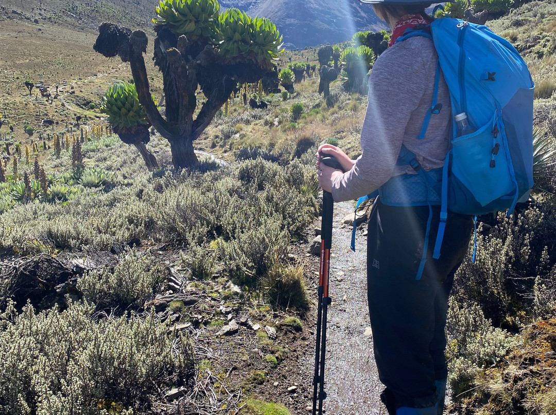 Pinnacle Alpine Tours and Treks-Naro Moru必去景点