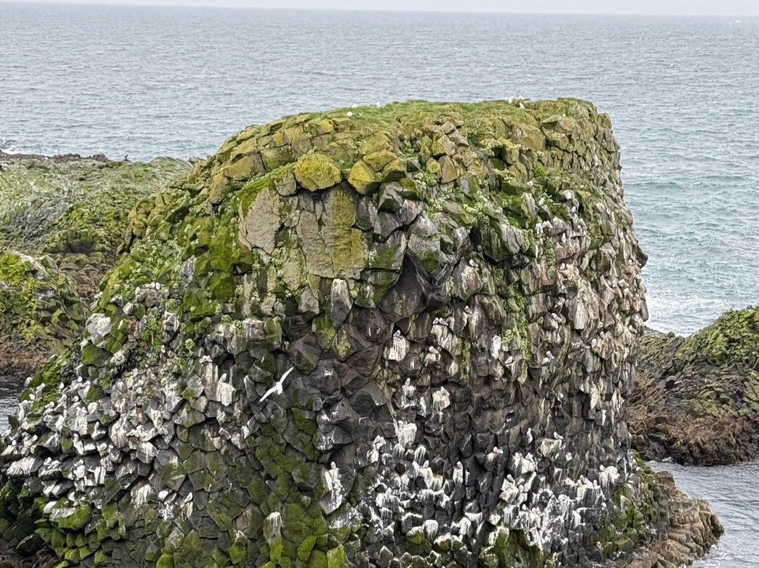 Bárður Snæfellsás Statue-Arnarstapi必去景点