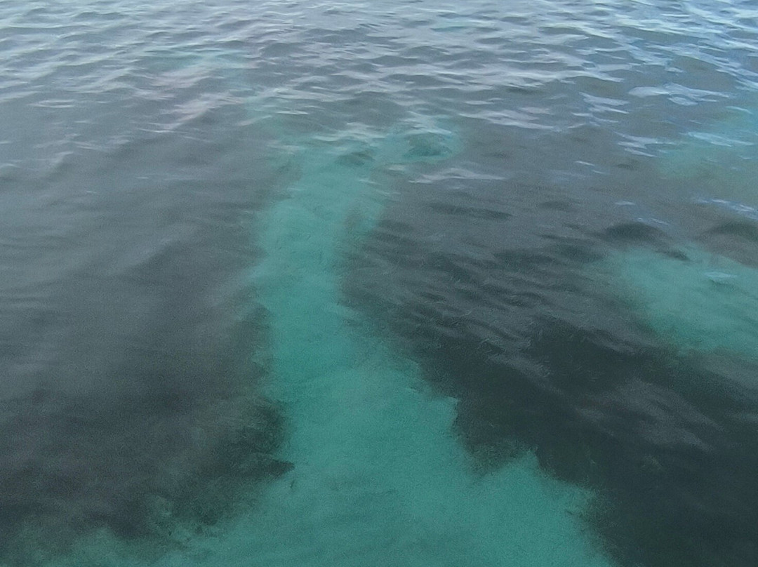 Petit Anse-Les Anses d'Arlet必去景点