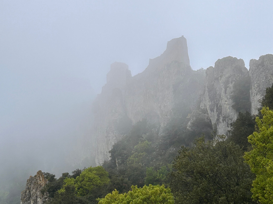 Chateau de Peyrepertuse景点图片