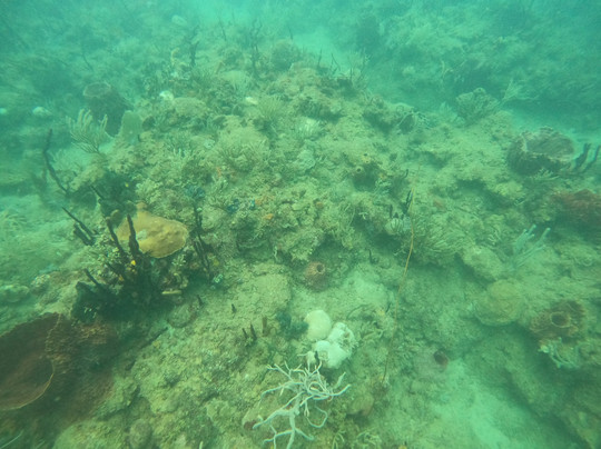 Taino Divers-吕康必去景点