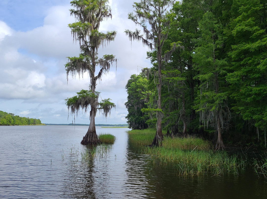Alligator's Unlimited  Airboat Nature Tours-莱克威尔士必去景点
