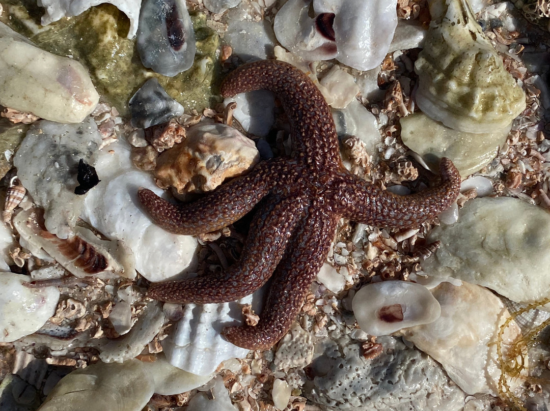 Captain Craig’s Everglades Boat Adventures LLC-Chokoloskee必去景点