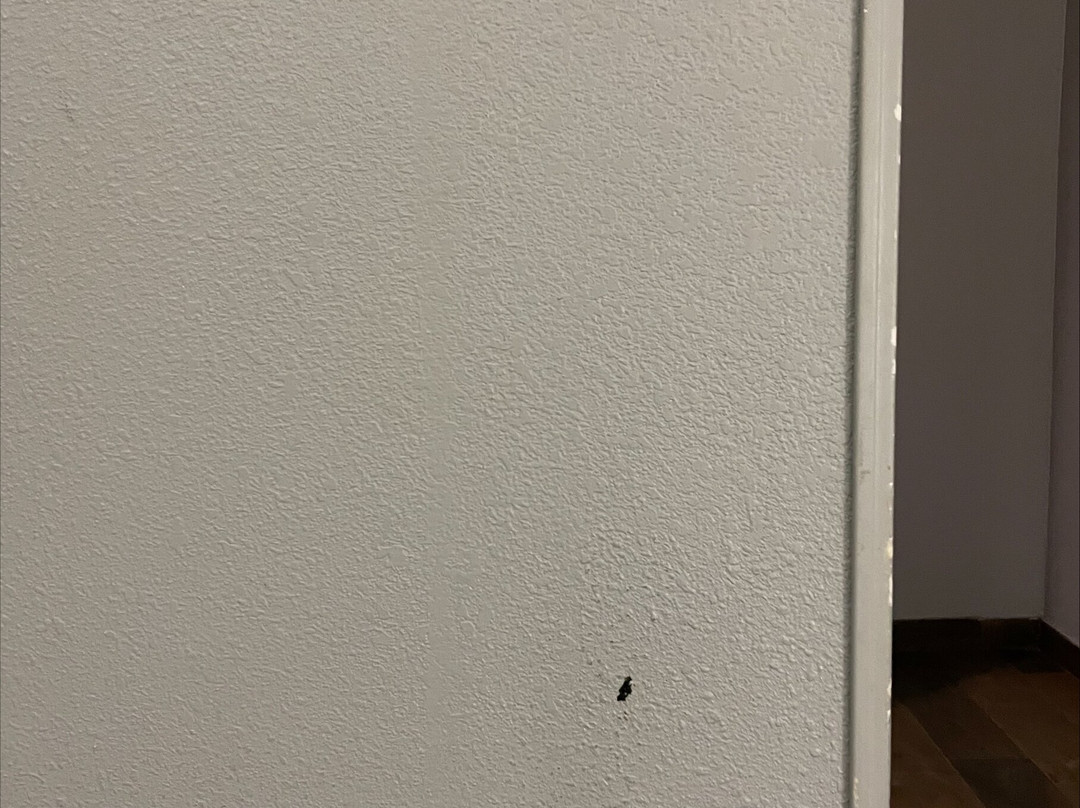 Baymont by Wyndham Savannah/Garden City主图