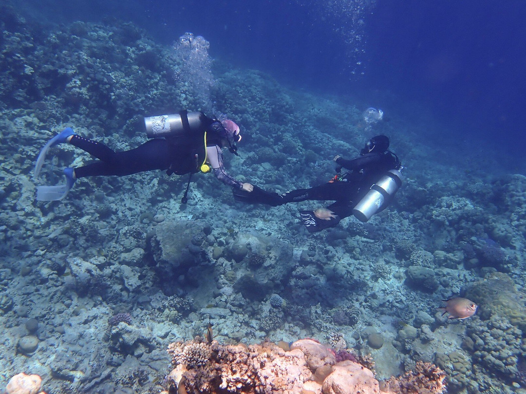 ORCA Dive Club Soma Bay景点图片