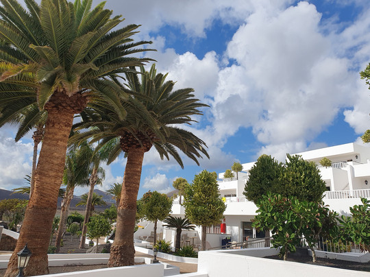 弗洛雷斯塔酒店主图