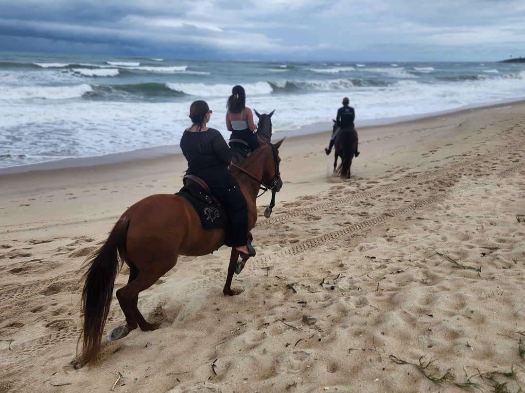 Haras Maracaipe-嘎林海斯港必去景点