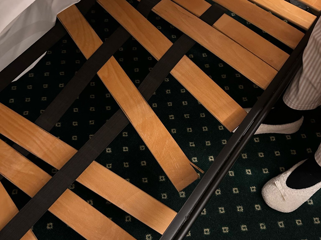 La Rondinaia in Eurocongressi Hotel主图