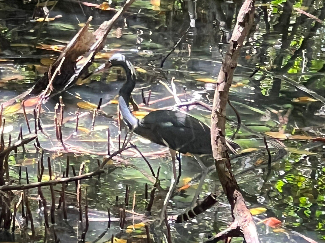 Florida Oceanographic Coastal Center-斯图尔特必去景点