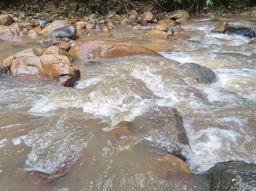 Biausevu Waterfall景点图片