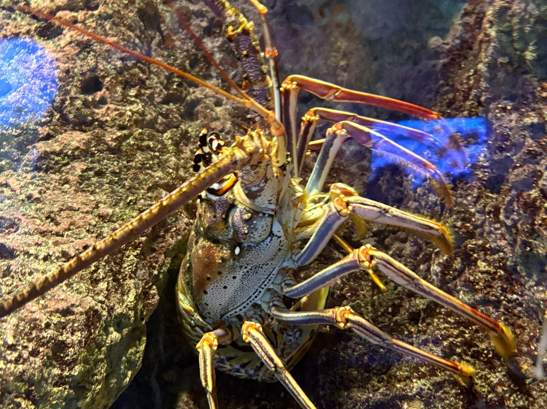 Oklahoma Aquarium-Jenks必去景点