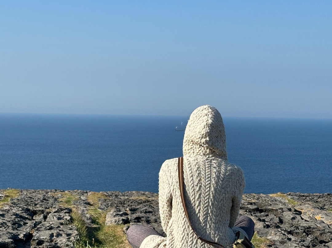 Failte Bus Tour-Inishmore必去景点