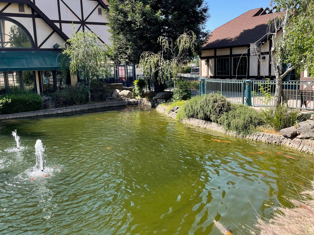 Holiday Inn Selma-Swancourt by IHG主图