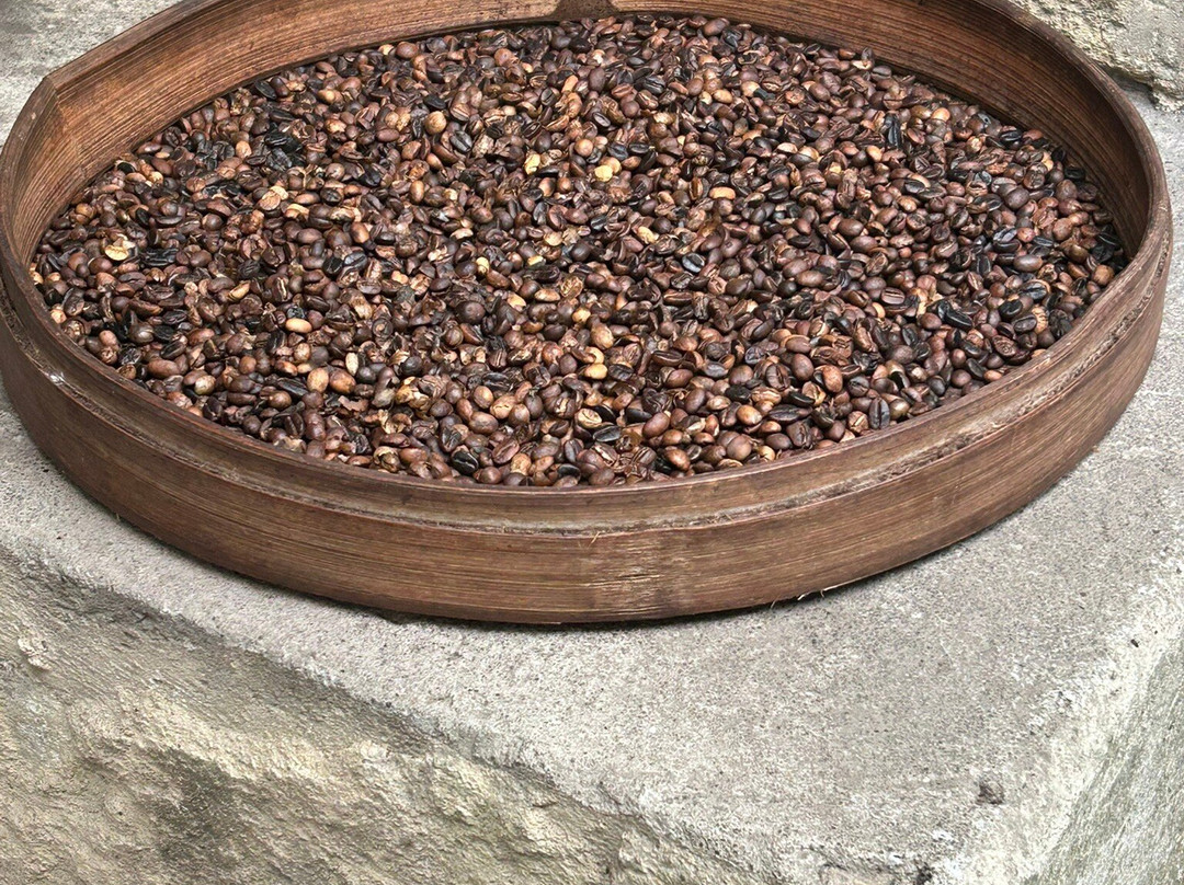 OKA Agriculture Bali景点图片