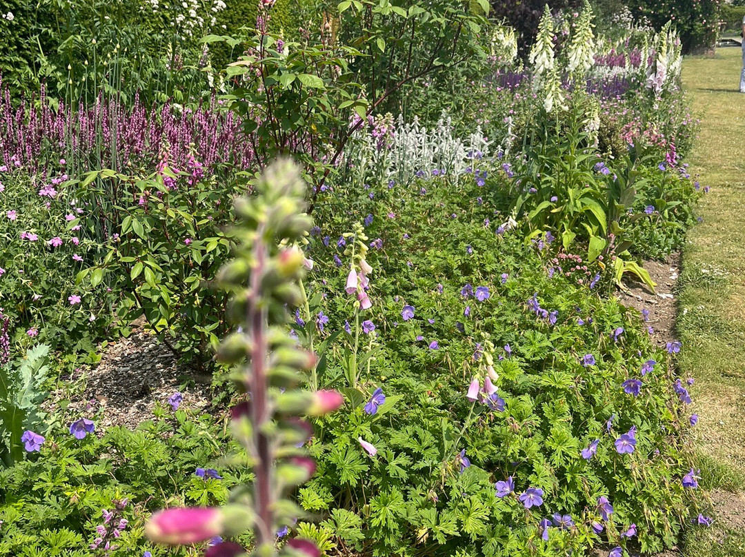 Goodnestone Park Gardens景点图片