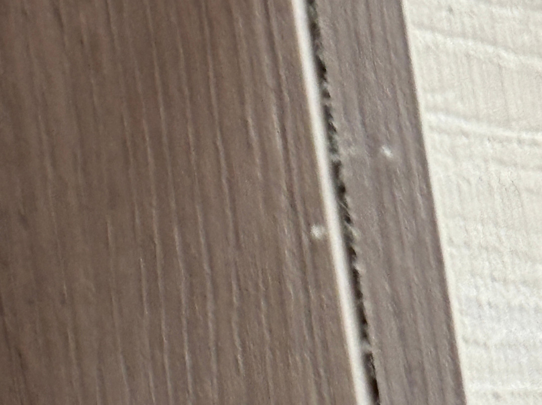 Hotel Oostzaan-Amsterdam主图