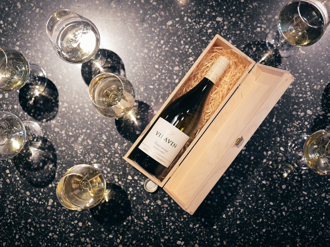 Gravitační vinařství Vilavin