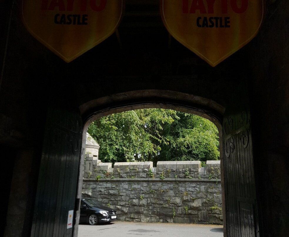 The Famous Tayto Castle Tour景点图片