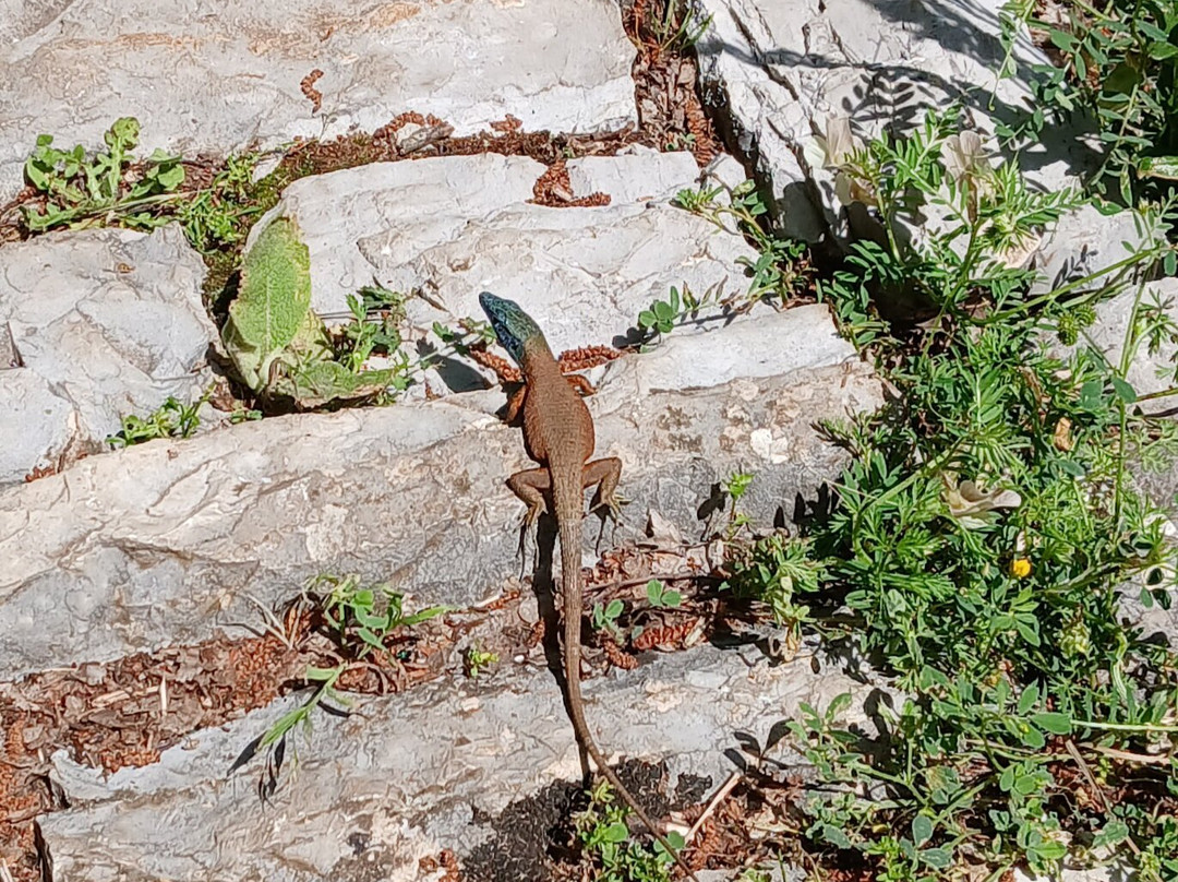 拉迪亚斯酒店主图