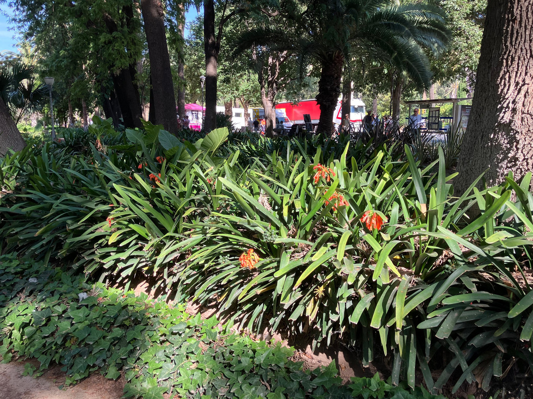 Parque de Malaga景点图片