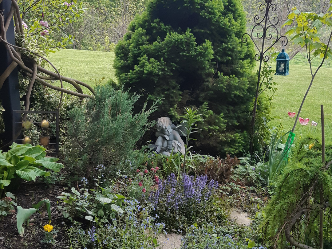 Samuels Boutique Hotel主图