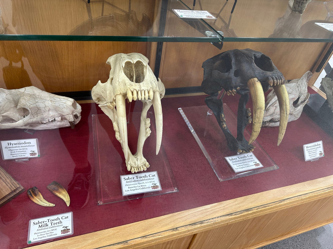 Jurupa Mountains Discovery Center-里弗赛德必去景点