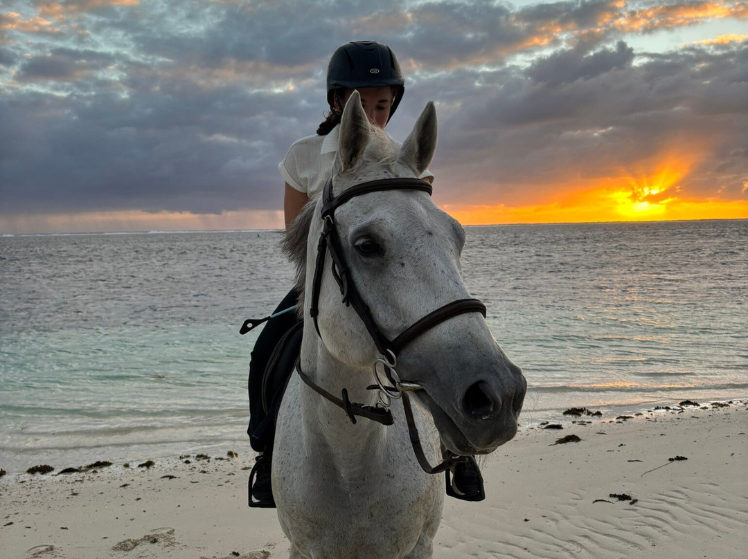 Legasea Stables Mauritius-Quatre Cocos必去景点