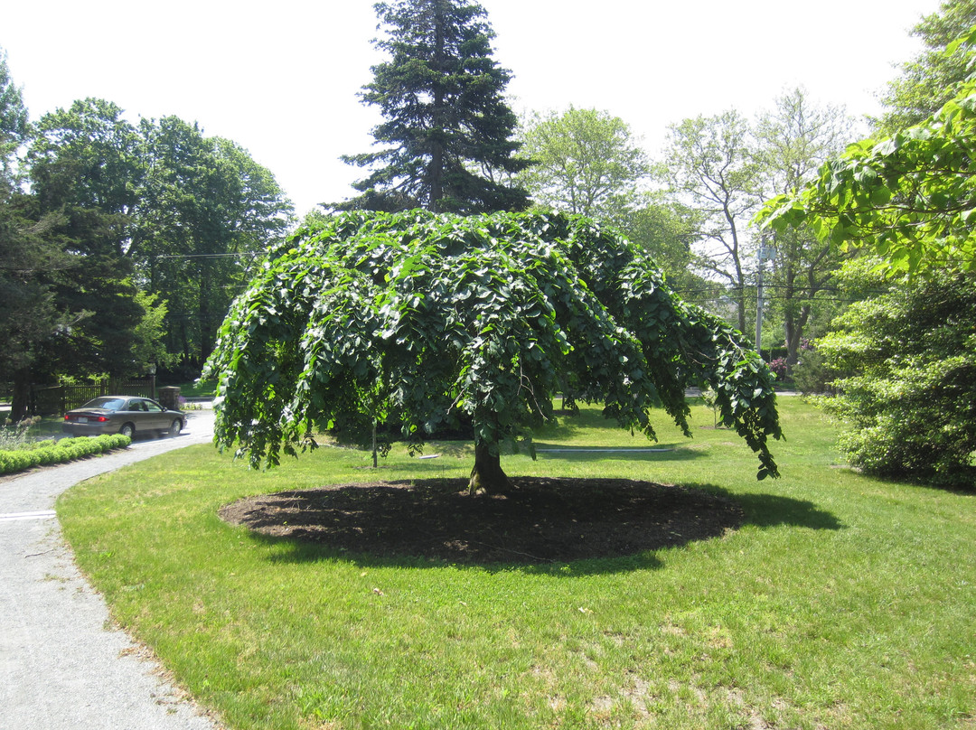 Armstrong-Kelley Park-Osterville必去景点