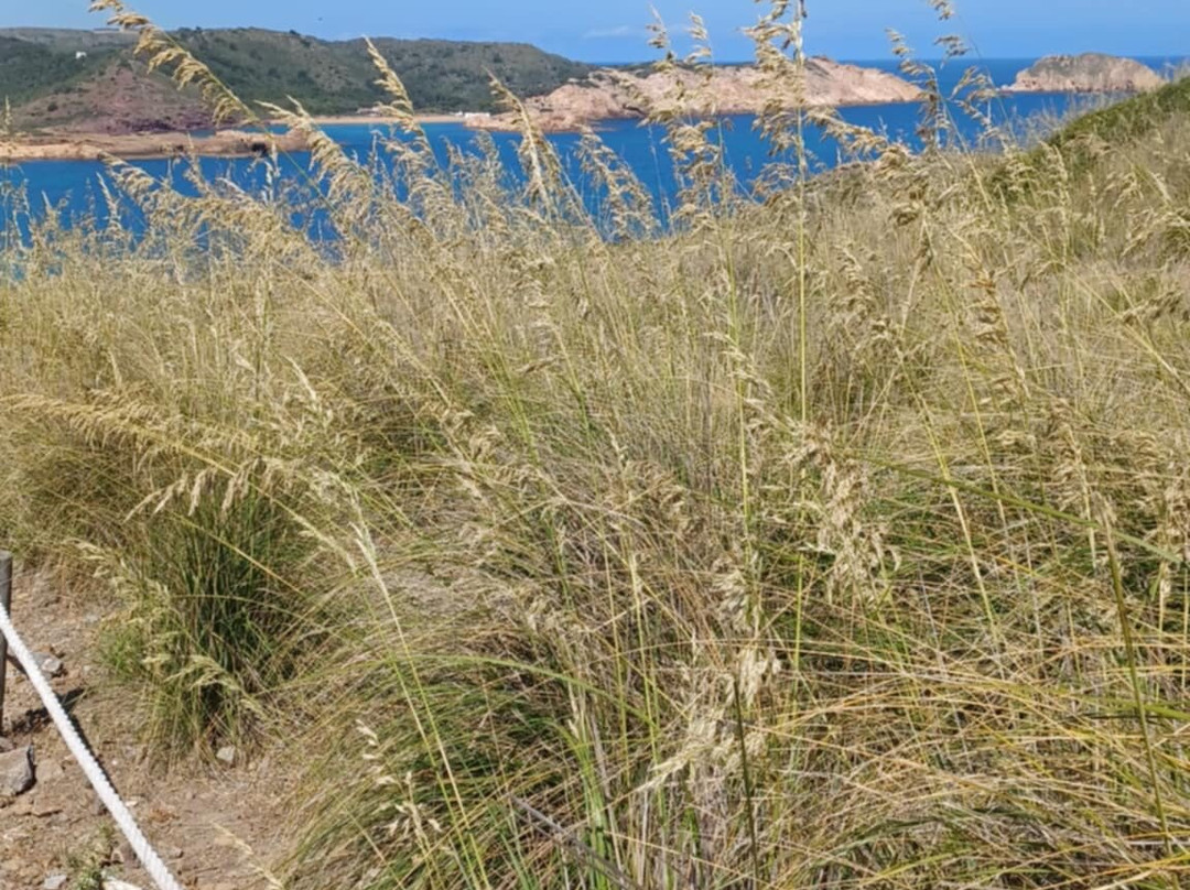 Cala Mica-Mercadal必去景点